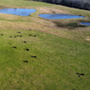 Meet your Posher, Cj